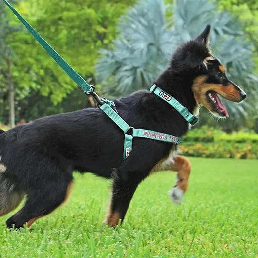 Pawtitas Personalized Dog Harness with Embroider Name Phone Number Adjustable Puppy Harness Customized Dog Harness for Small Dogs Small S Breeds and Puppy Red Dog Harness
