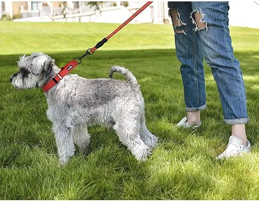 haapaw 2 Packs Martingale Dog Collar with Quick Release Buckle Reflective Dog Training Collars for Small Medium Large Dogs