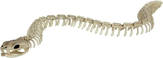 Seasons 36" Snake 'Skeleton'