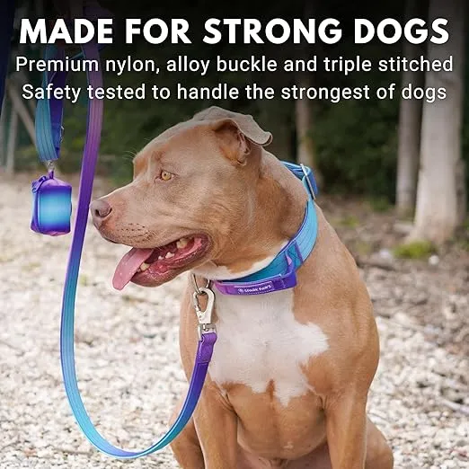 Spark Paws Tactical Dog Collar - Heavy Duty, Premium Quality, Thick and Durable for Large and Medium Dogs - 90s Retro - M