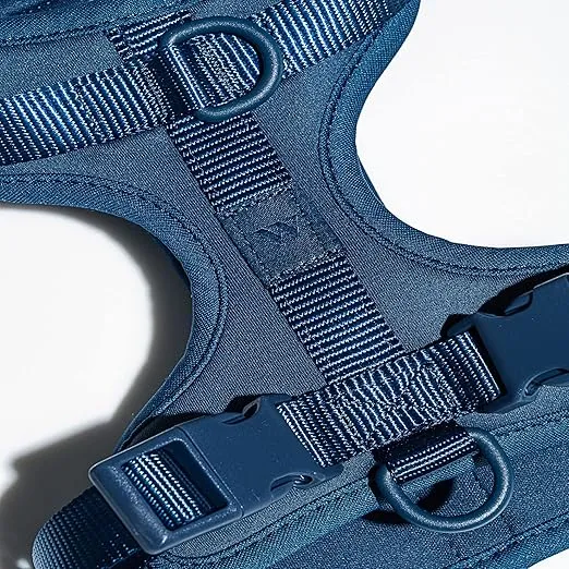 Wild One Harness 2.0 - Extra Small - Navy