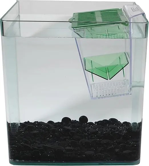 Penn-Plax Breed and Show Nursery Fish Tank