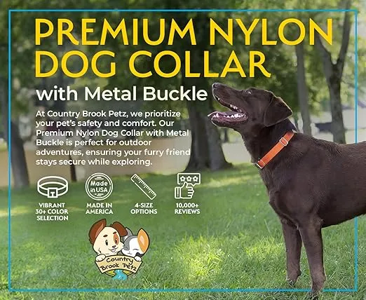 Country Brook Petz Premium Nylon Dog Collar with Metal Buckle for Small Medium Large Breeds - Vibrant 30+ Color Selection (Extra Large, 1 Inch, Hot Yellow)