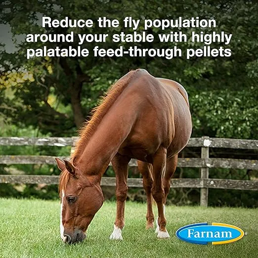 Farnam SimpliFly Feed Through Fly Control for Horses, Breaks the Fly Life Cycle, Pellets, 3.75 Pound Bucket, 60 Day Supply for One Horse