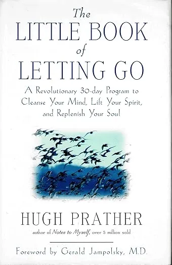 The Little Book of Letting Go