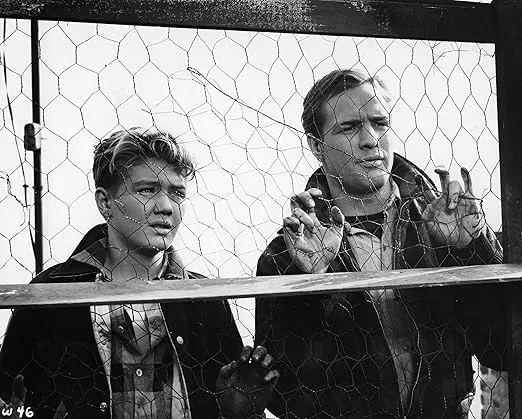 On the Waterfront (The Criterion Collection) [Blu-ray]