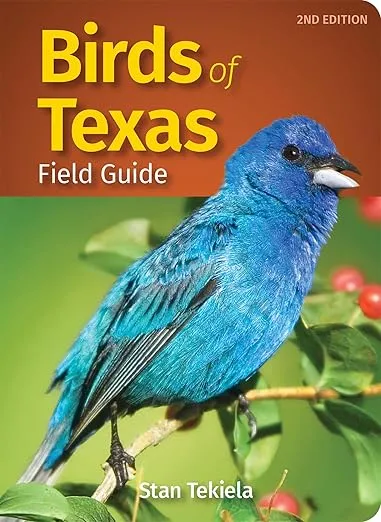 Birds of Texas Field Guide (Bird Identification Guides)