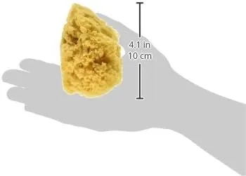Natural Ocean Artist Sponges, 3 Silk/1 Jumbo, 4/pkg