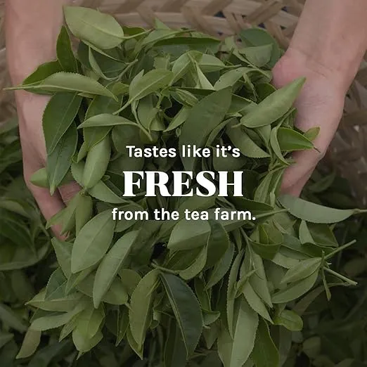 Uncle Lee's Tea Jasmine Green Tea - Authentic Green Tea, Wellness Tea Rich in Polyphenols and Antioxidants for Immunity & Vitality, 100 Count
