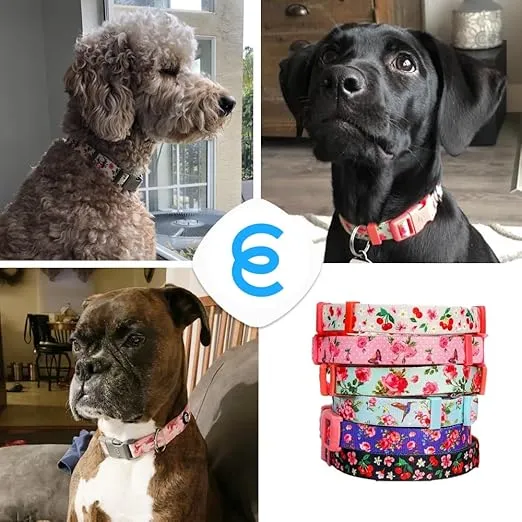 Blueberry Pet 7 Patterns Cherry Garden Grey Adjustable Dog Collar with Dainty Flowers, Medium, Neck 14.5"-20"
