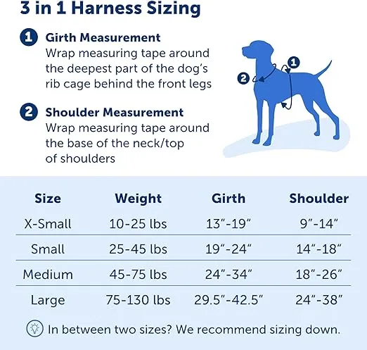 PetSafe 3 in 1 Dog Harness - No Pull Solution for Dogs - Reflective Dog Harness - Front D-Ring Clip Helps Stop Pulling - Comfortable Padded Straps - Top Handle Enhances Control - Teal - Medium