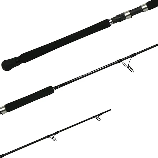 Shimano Terez Spinning Saltwater|Spinning Fishing Rods