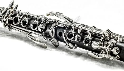 SKY Black Student Ebonite ABS Bb Clarinet with Case, Mouthpiece, 11 Reeds, Care kit and more