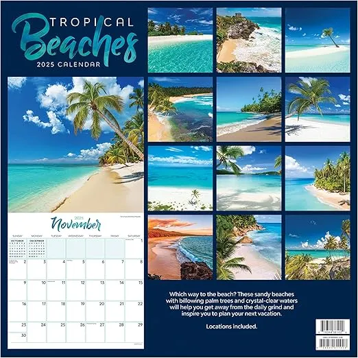 TF PUBLISHING 2025 Tropical Beaches Wall Calendar - Large Grids for Appointments and Scheduling - Vertical Monthly Wall Calendar 2025 - Home and Office Organization - Premium Gloss Paper - 12"x12”