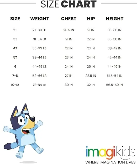 Bluey Bingo Girls T-Shirt and Leggings Outfit Set Toddler to Big Kid