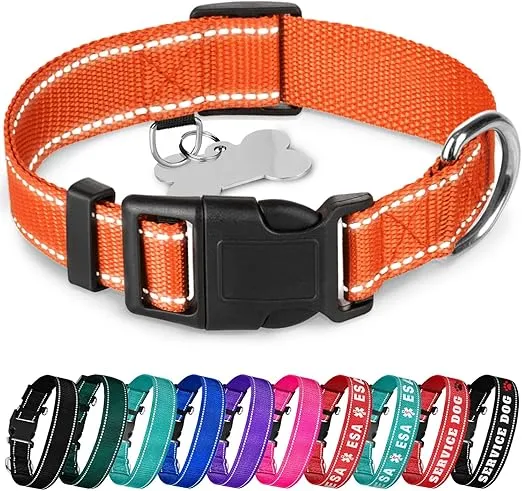 TECEUM Reflective Pet Collar – Orange – M – Basic Nylon Dog Collar – Quick Release Buckle – Fits Small, Medium and Large Dogs, Puppies, Cats – ESA & Service Dog Options