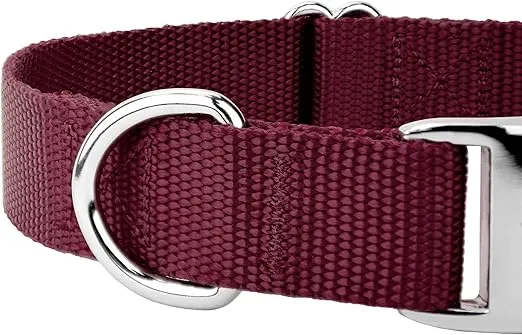 Country Brook Petz Premium Nylon Dog Collar with Metal Buckle for Small Medium Large Breeds - Vibrant 30+ Color Selection (Small, 3/4 Inch, Burgundy)