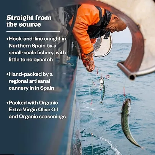 Patagonia Provisions Roasted Garlic Wild Mackerel | Responsibly Sourced in Spain | 21g Protein & Gluten Free