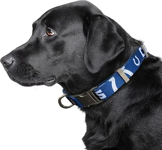 Littlearth NFL Unisex-Adult NFL Premium Pet Collar | Durable All Metal Pet Collar | Durable Pet Collar