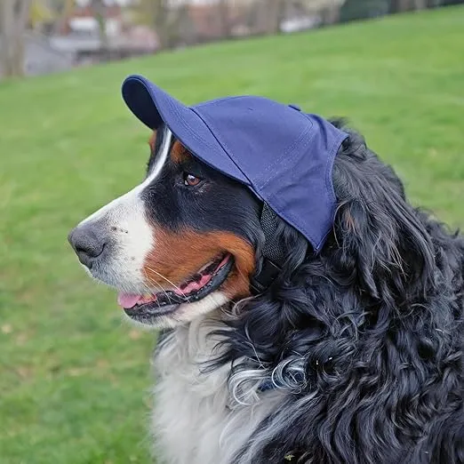 Littlearth Dallas Cowboys NFL Pet Baseball Hat