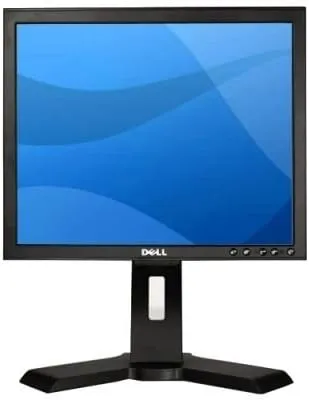Dell Professional P170s 468-9272 17-inch Screen LCD Monitor (Renewed)