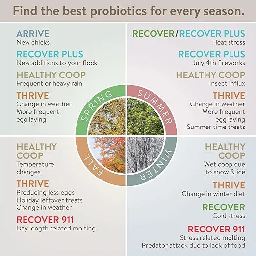 Thrive, Daily Probiotic & Prebiotic Water Supplement for Chickens 8+ Weeks Old, 8 oz