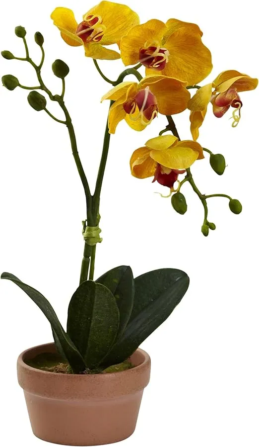 Nearly Natural Phalaenopsis Orchid with Clay Vase (Set of 4)