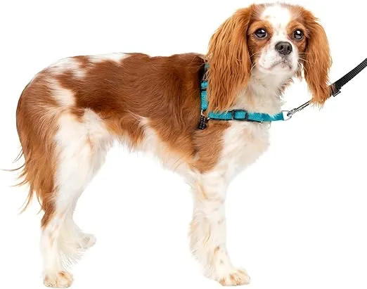 PetSafe Easy Walk Deluxe Dog Harness, No Pull Dog Harness – Perfect for Leash & Harness Training – Stops Pets from Pulling and Choking on Walks – Small, Ocean