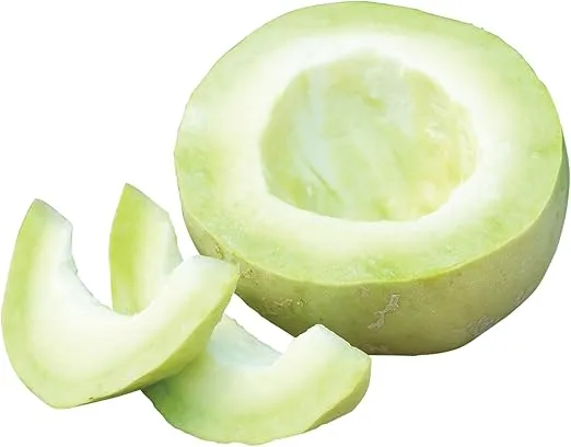 Burpee Bodacious Hybrid Melon Seeds 25 seeds