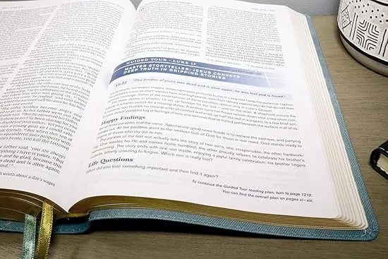 NIV, Student Bible, Leathersoft, Teal, Comfort Print