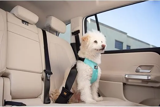 Clickit Sport Plus - Crash-Tested and Safety Certified Car Seat Belt Harness for Dogs (Small, Orange Dream)