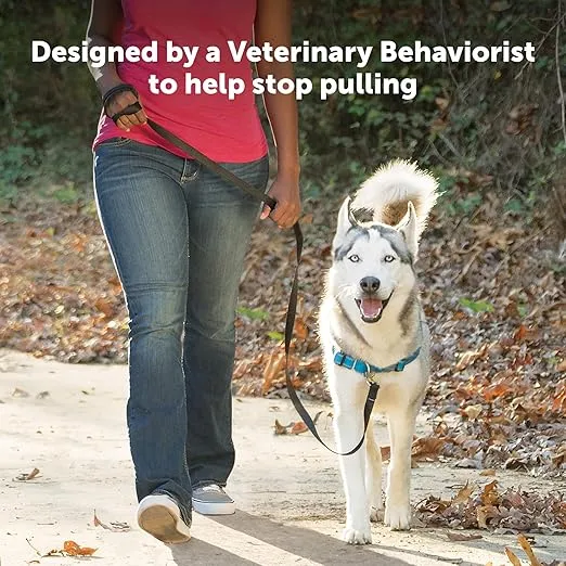 PetSafe Easy Walk Deluxe Dog Harness, No Pull Dog Harness – Perfect for Leash & Harness Training – Stops Pets from Pulling and Choking on Walks – Large, Steel