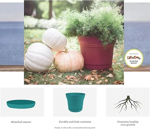 Bloem SP0700 Saturn Planter with Saucer, 7", Black