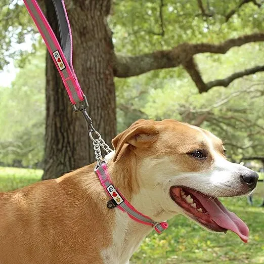 Pawtitas Double Handle Dog Leash Heavy Duty for Training No Pull Leashes Ideal for Medium and Large Dogs | Great for Walking, Running & Training Dog Leash - Medium/Large - Teal