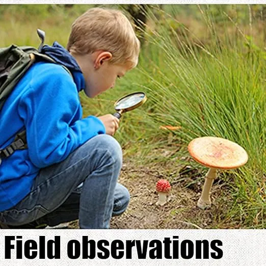 Magnifying Glass 6X Magnification Magnifier Handheld Magnifier for Science, Reading Book, Inspection
