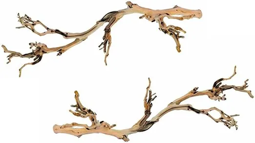 (2 Pack) Exo Terra Forest Branches, Large